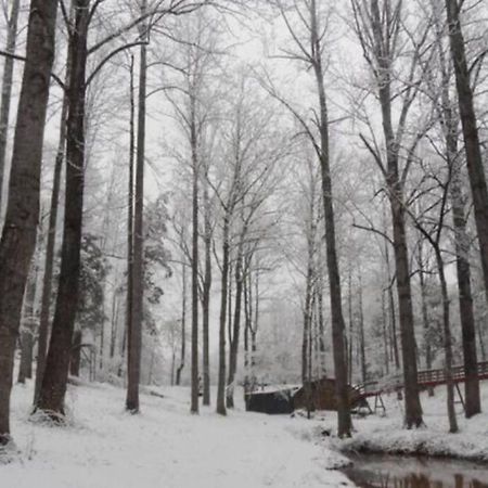 Zen Suite Stanardsville Bagian luar foto